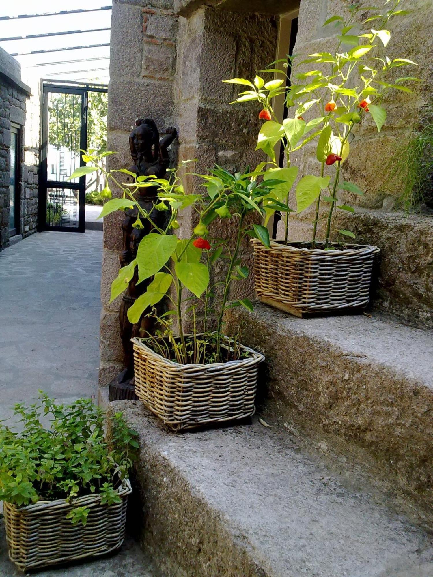 Assosyal Hotel Zewnętrze zdjęcie